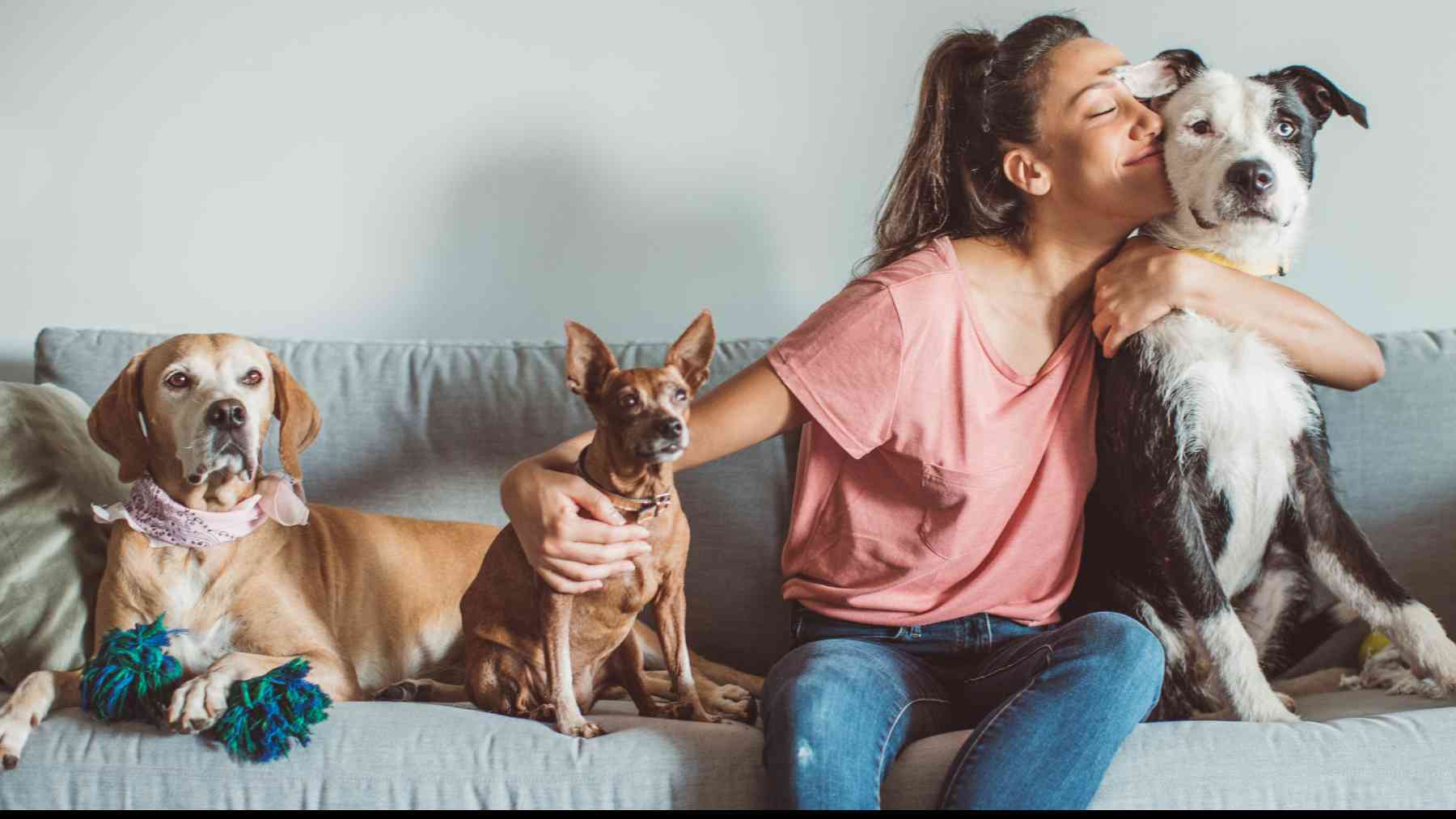 Una mujer con sus perros.