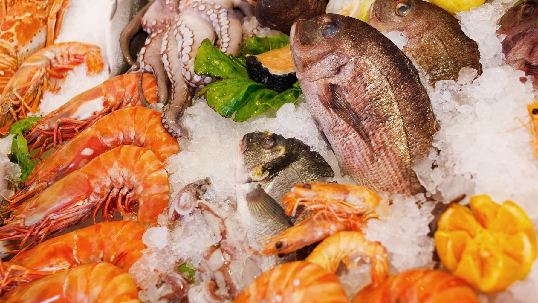 Mariscos congelados. Foto: Pixabay.