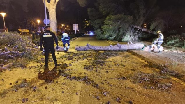 Mallorca viento incidencias