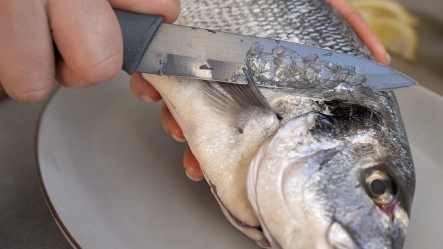 Espinas del pescado, pescado, comida de mar, cuchillo