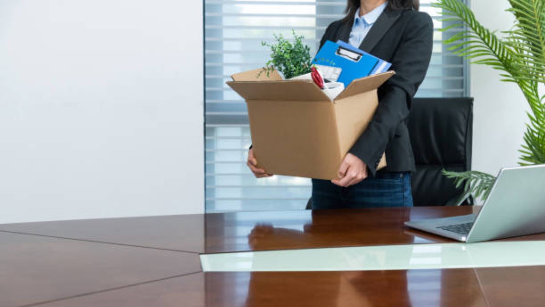 Mujer deja su trabajo y lleva sus cosas en una caja.