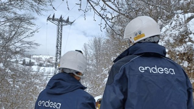 Endesa destina 33 millones a mantener y reforzar la red de cara al invierno