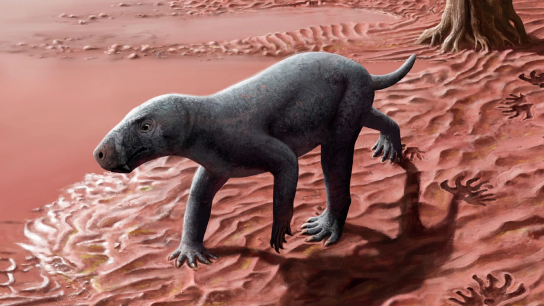 Reconstrucción de un gorgonopsio. Foto: Henry Sutherland Sharpe / Nature Communications