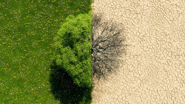 cambio climático