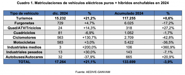 Matriculaciones electricos y enchufables 2024