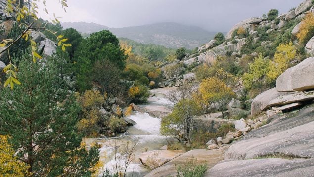 senderismo invernal en Madrid, río Manzanares, Naturaleza