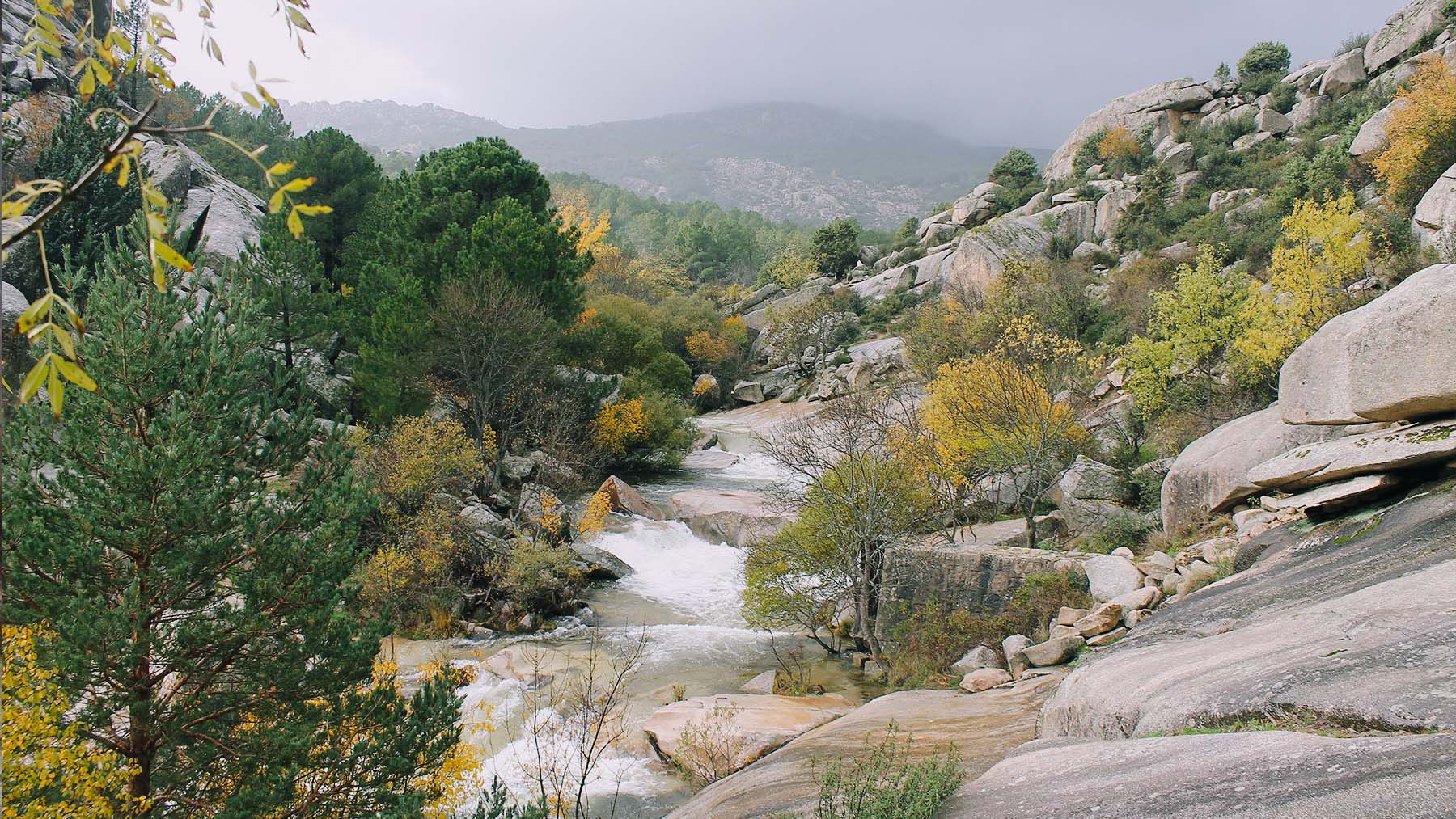 Curso alto del río Manzanares en La Pedriza. Foto:  El fosilmaníaco en Wikimedia Commons.