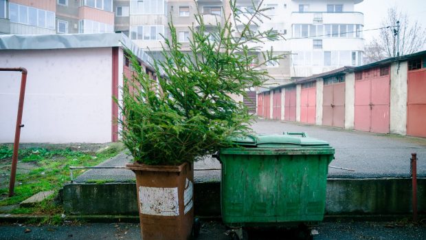 árbol navidad basura