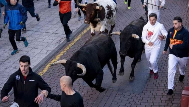 Encierros blancos de San Sebastián de los Reyes