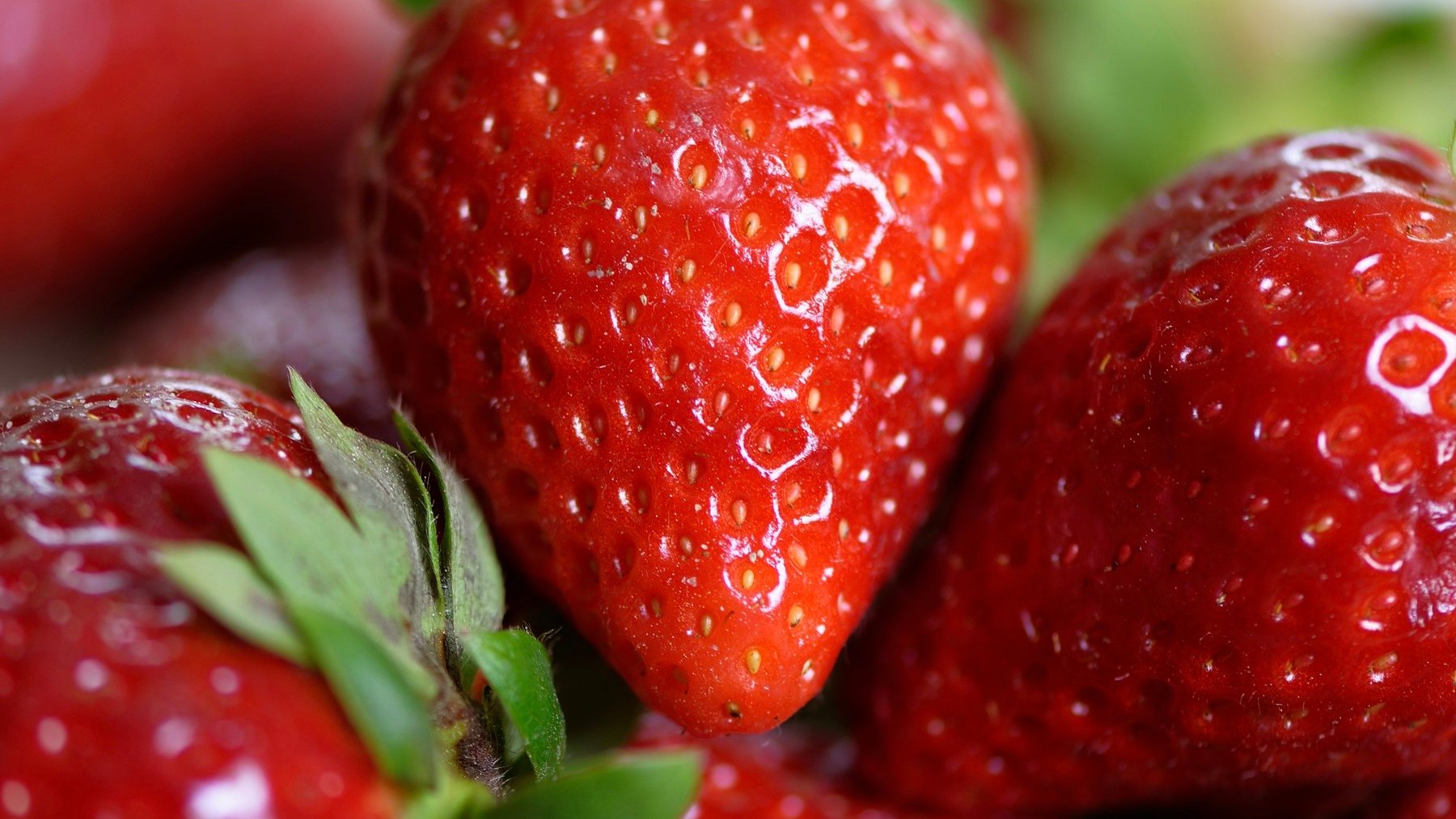 Fresas frescas. Foto: Pixabay.