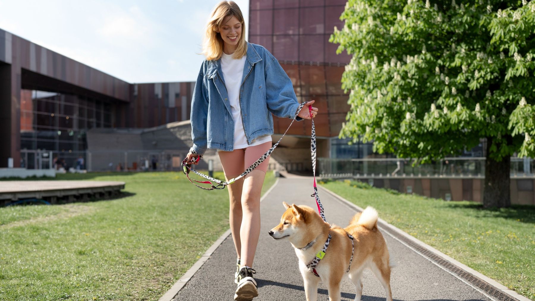 Un perro paseando con su dueña. Foto: Freepik