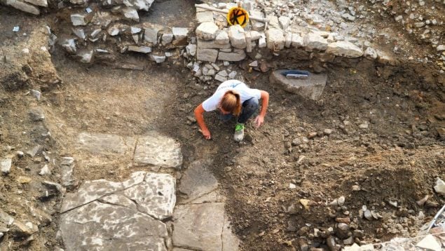 descubrimiento arqueológico, descubrimiento antigua roma, restos de arqueología, frutos secos arqueología, dieta en el imperio romano.