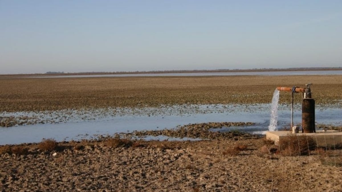 Pozo en Doñana (Foto: Europa Press)