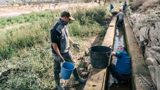 Rescatando los petxinots en la acequia de Real