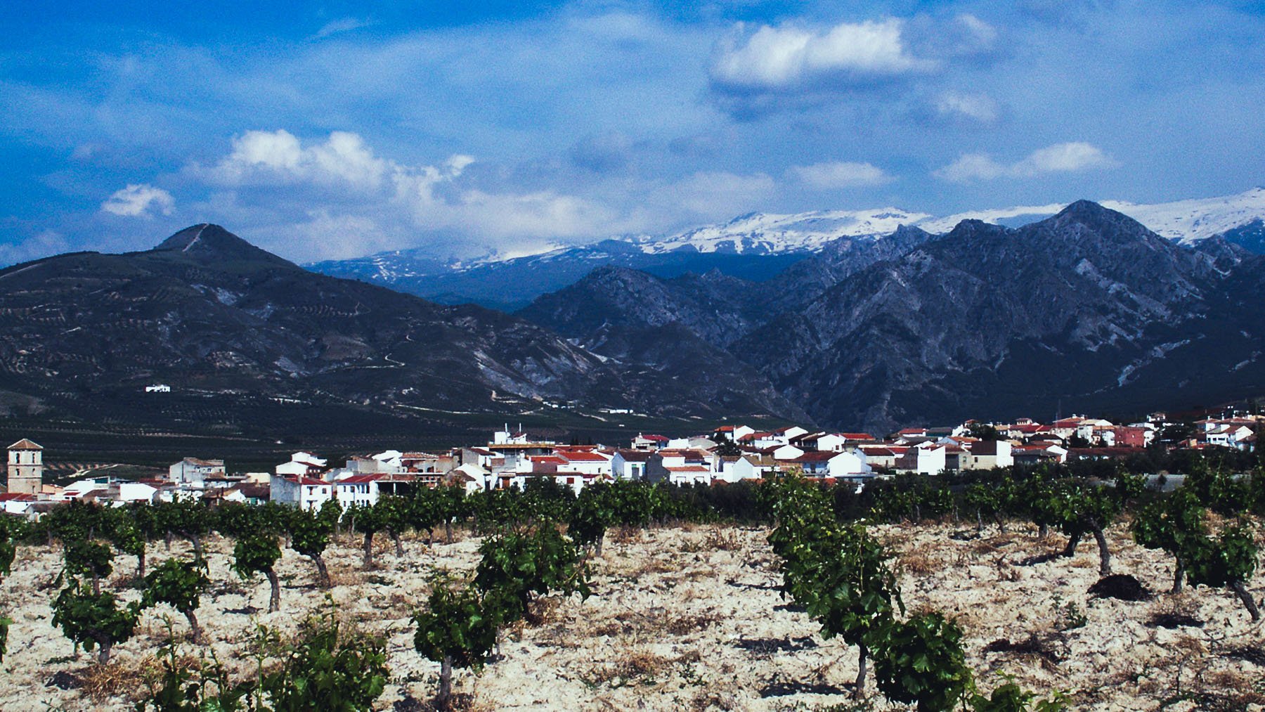 Vista panorámica de Dílar. Foto: Cristiandilar en Wikimedia Commons.