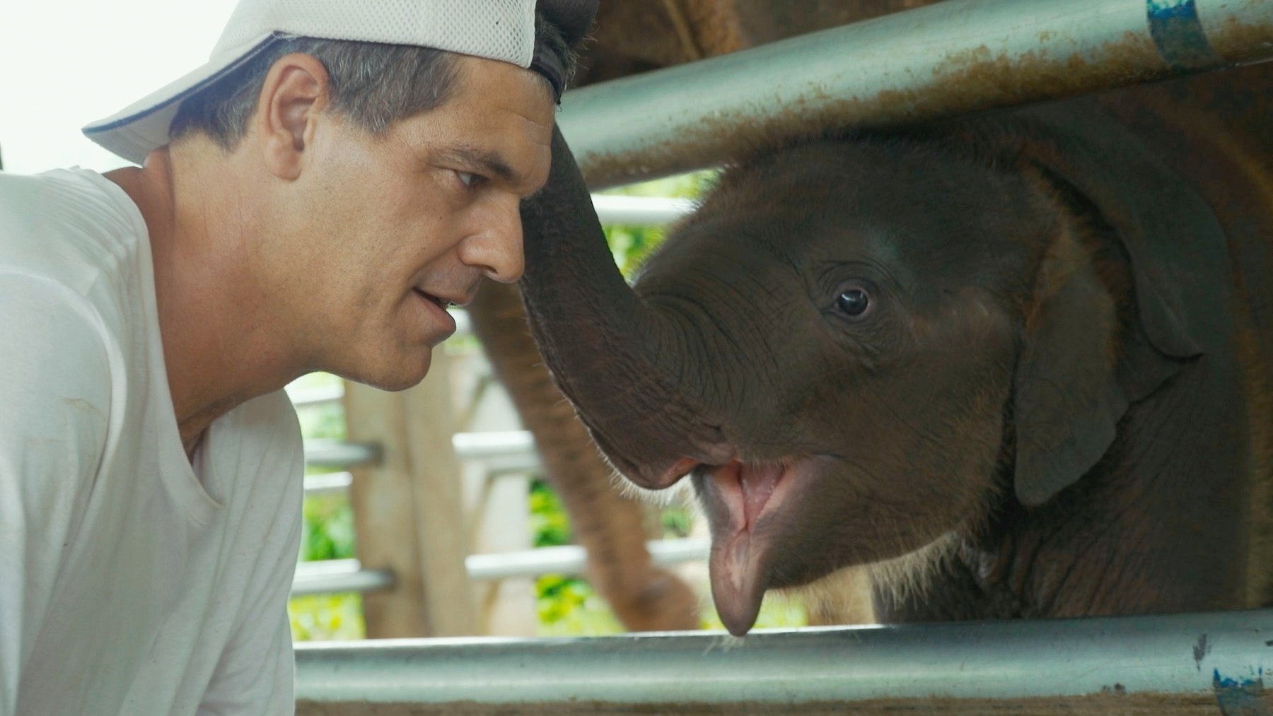 Frank Cuesta junto a una cría de elefante en ‘Wild Frank por dentro’