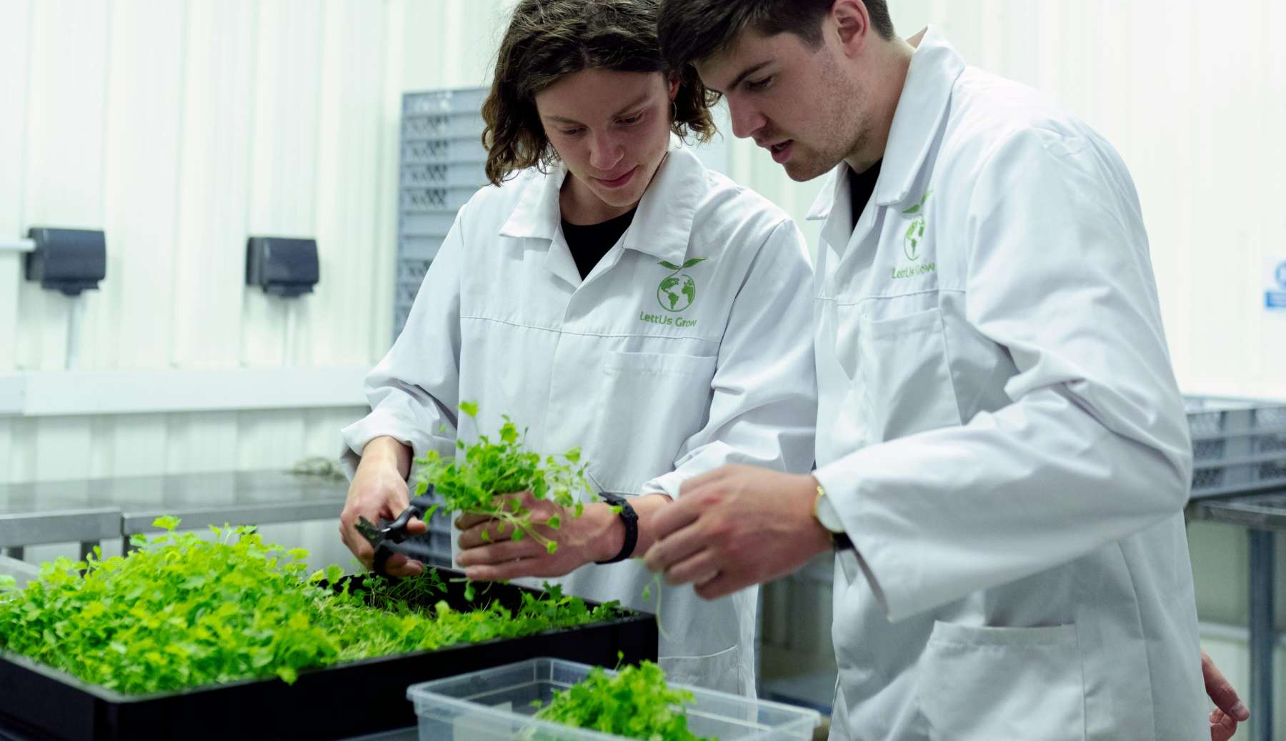 Innovaciones en biotecnología alimentaria.