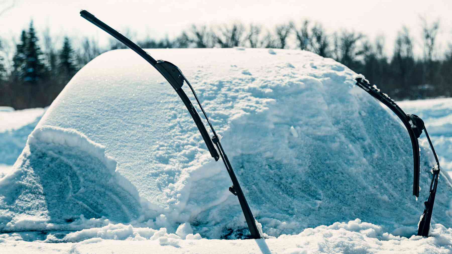 Coche cubierto de nieve.