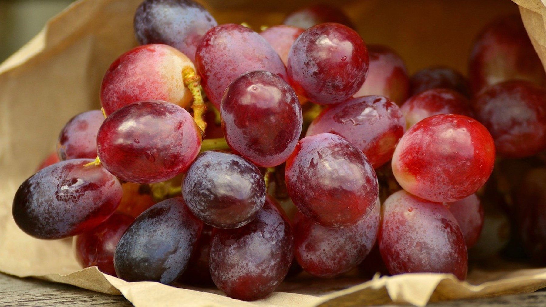 Uvas moradas. Foto: Pixabay.