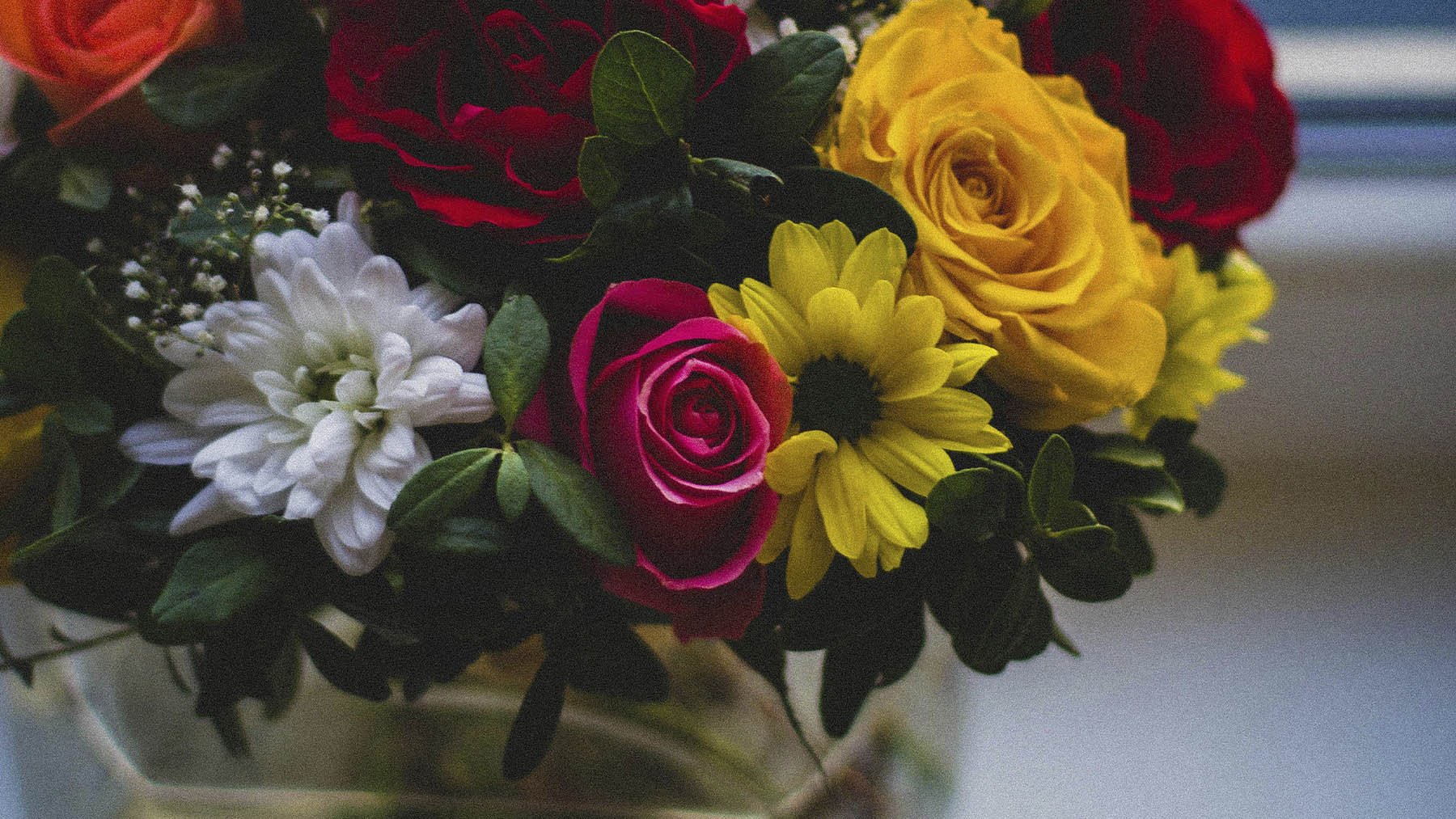 Flores puestas en un recipiente. Foto: Pexels.