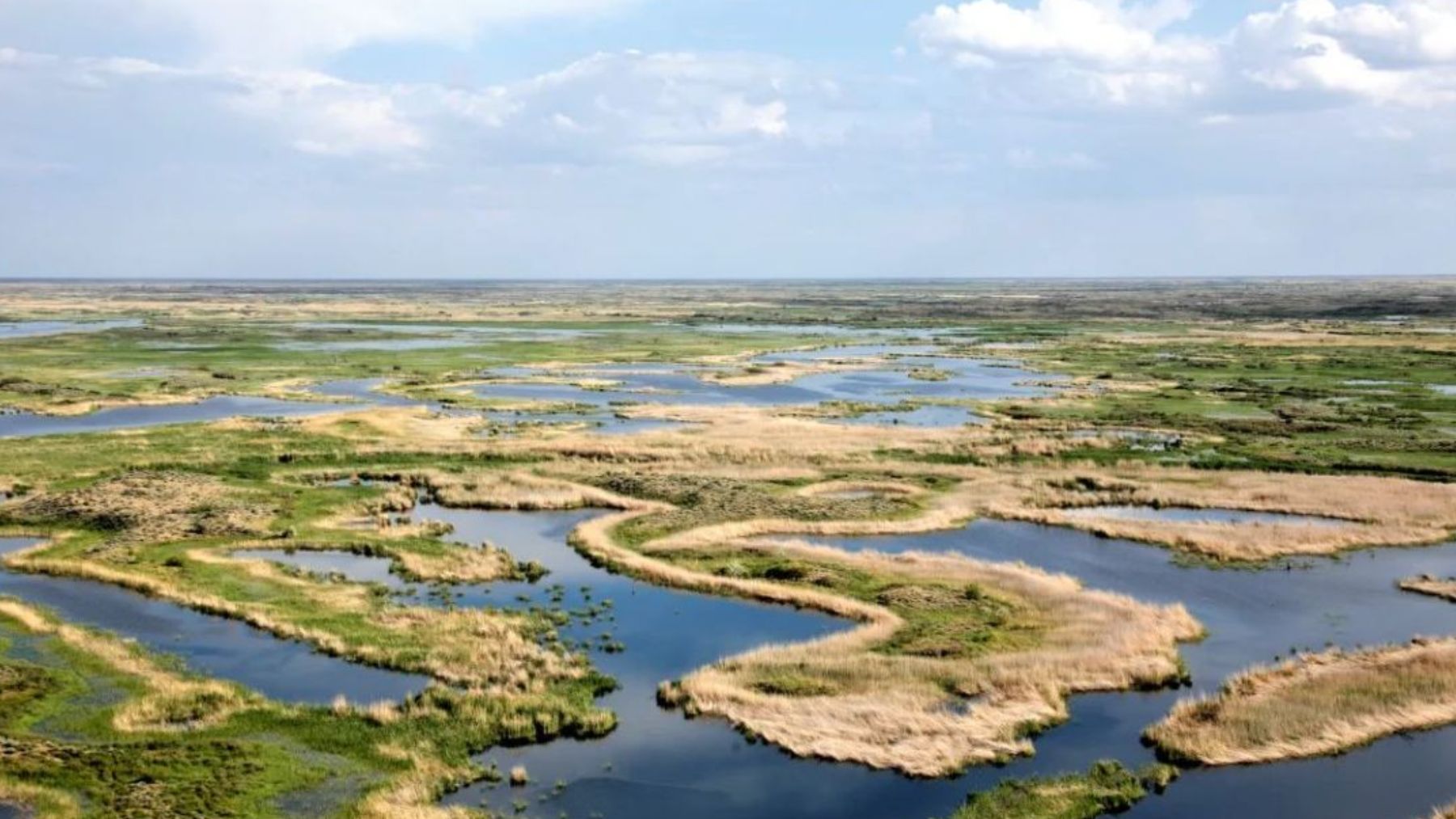 Reserva Natural Estatal de Ile-Balkhash en Kazajistán. Foto: WWF Asia Central.