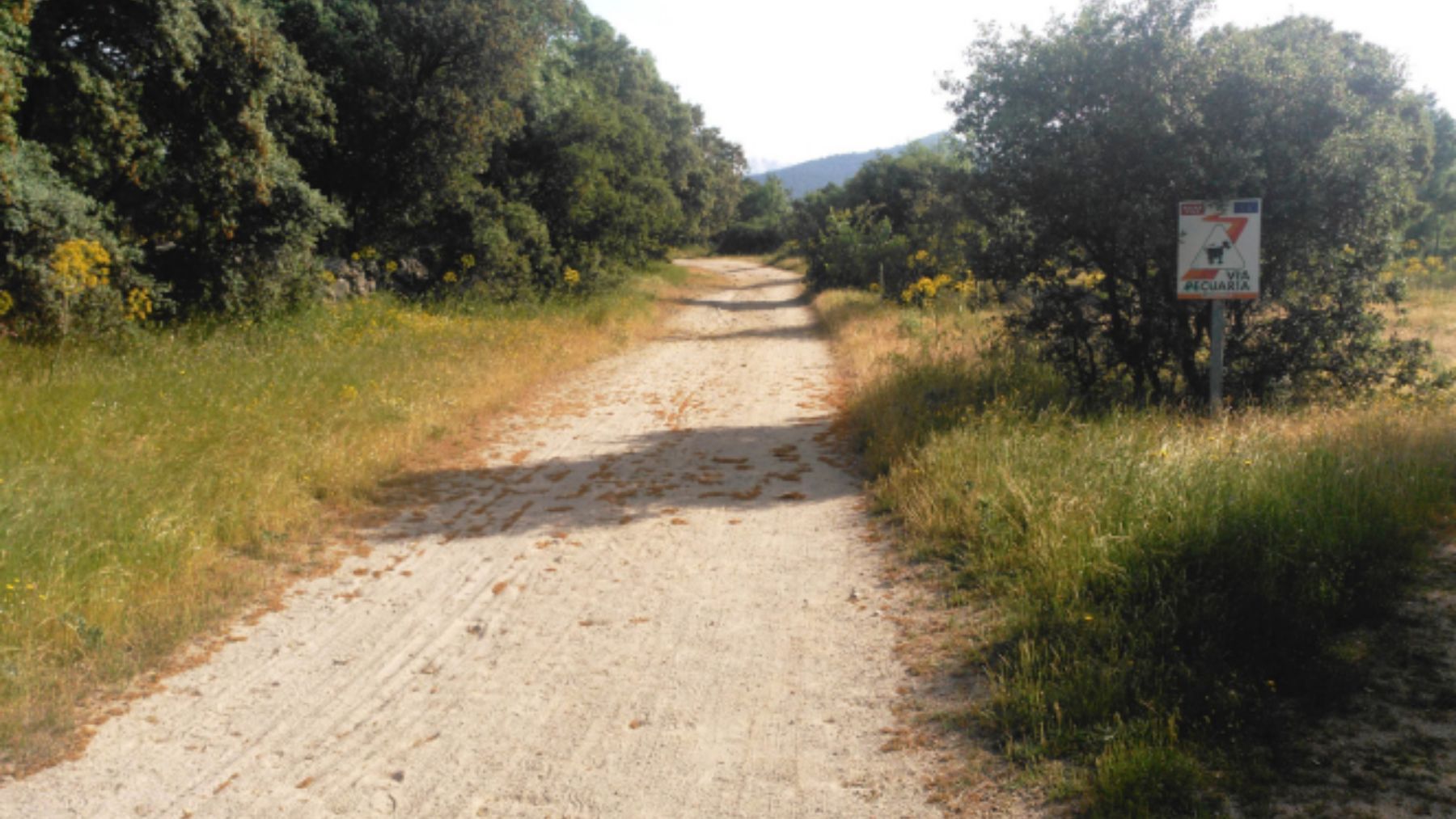 Sendero, ruta, Madrid, Sierra de Guadarrama