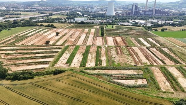 Calzada romana, descubrimientos, hallazgos