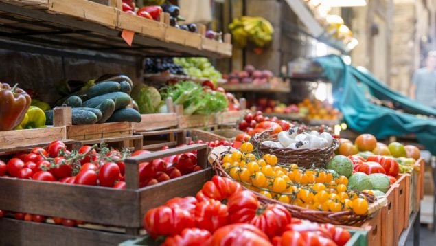 Marruecos tomate, marroquí, agricultura, exportaciones