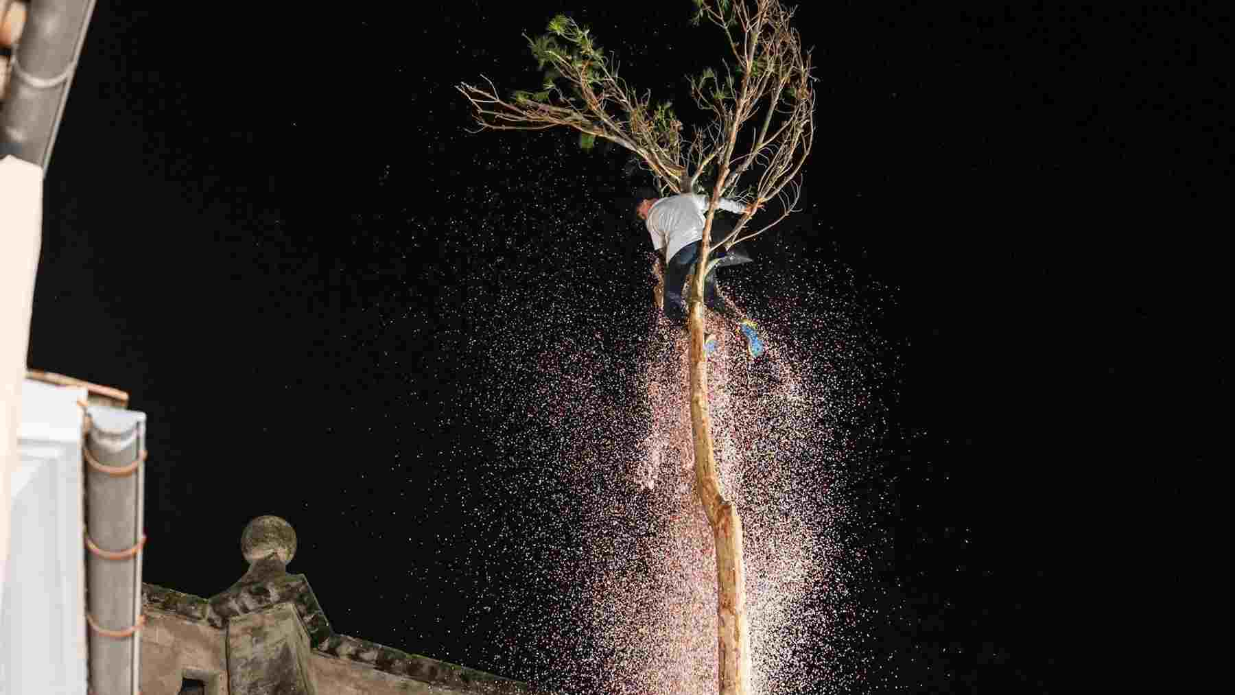 Jaume Coll corona el ‘Pi de Sant Antoni’ de Pollença. TOMÁS MOYÁ / EUROPA PRESS