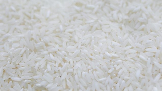 arroz secar móvil mojado