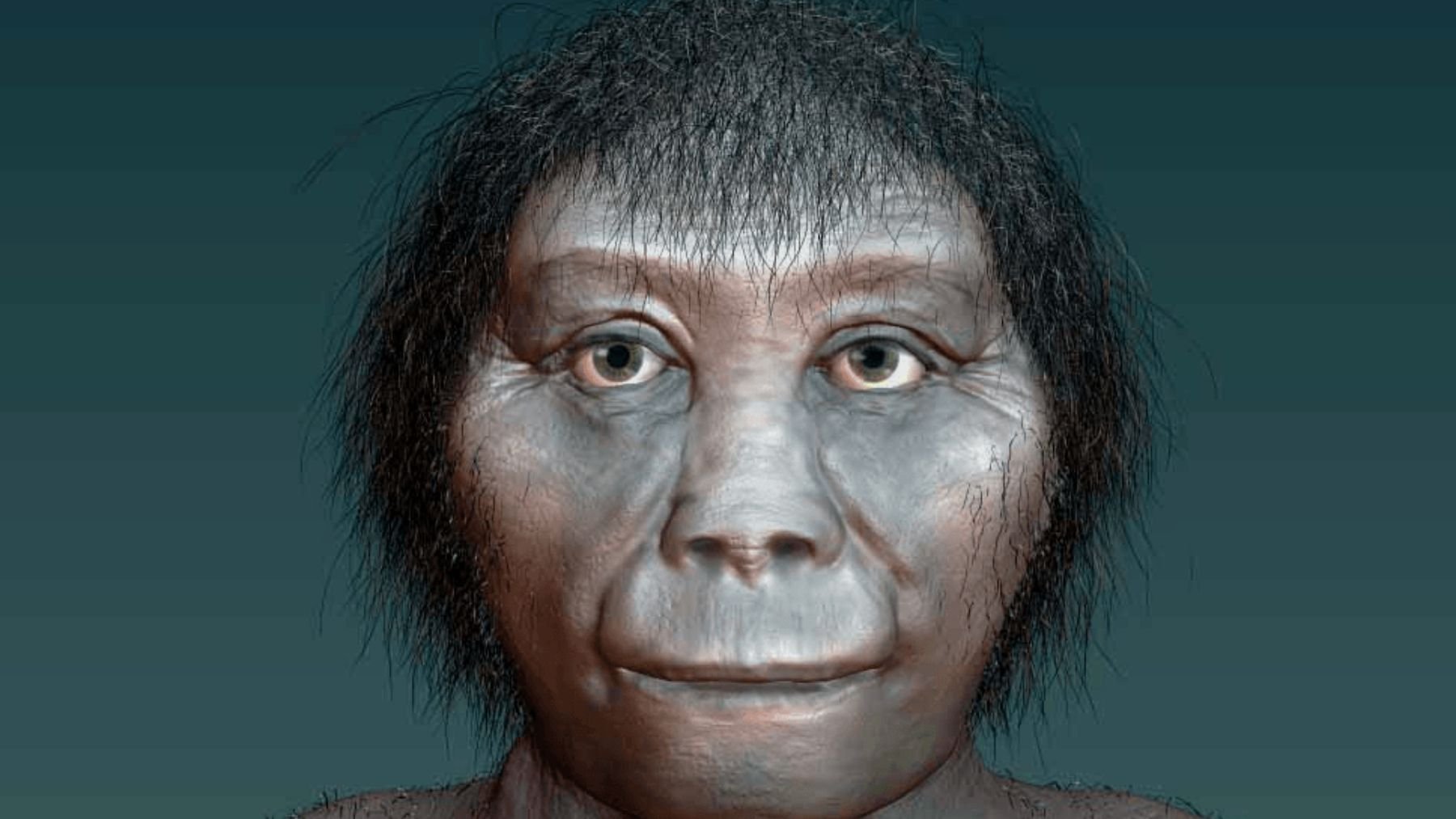 Homo floresiensis, descubrimiento, hallazgo, antropólogo