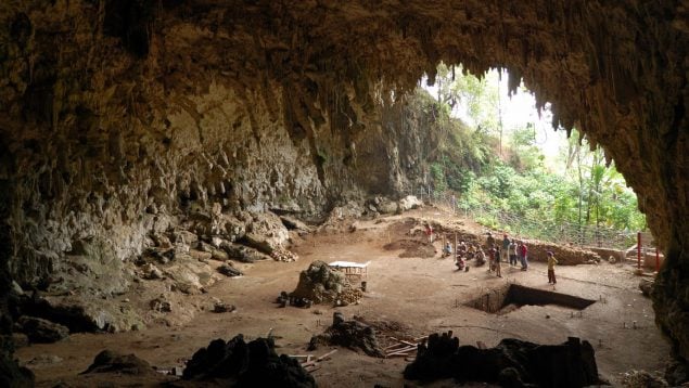 Antropólogo, Indonesia, yacimiento, hallazgo, descubrimiento