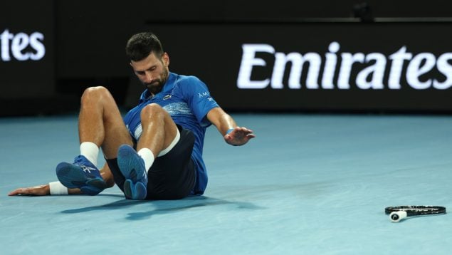 Djokovic, Alcaraz, Feliciano López