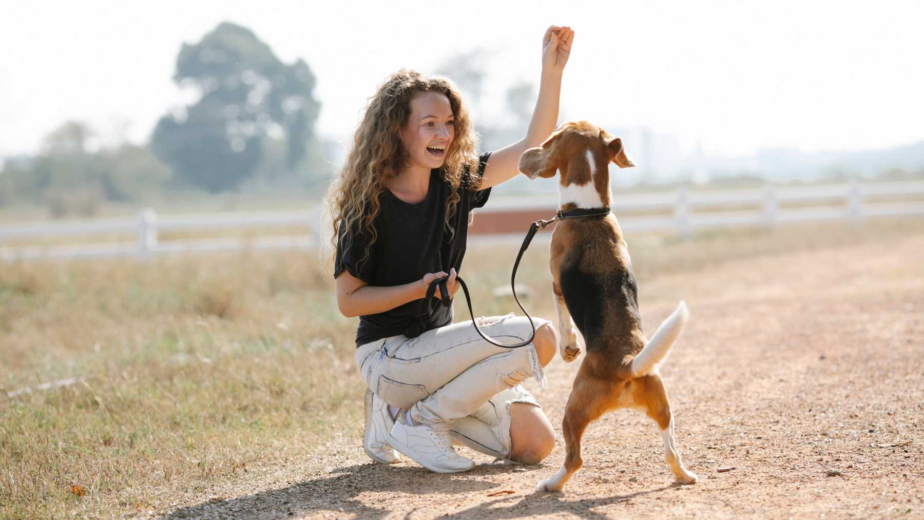 Educando al perro.