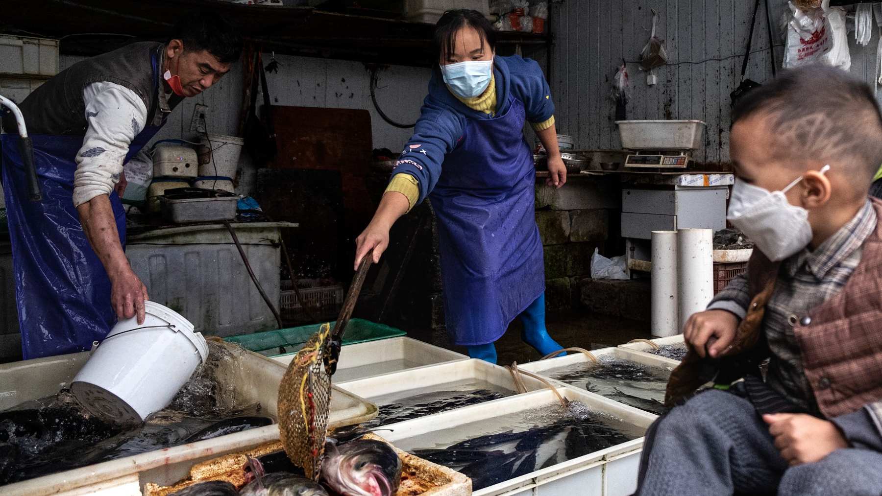 Una zona del mercado de Wuhan donde hay pescados.