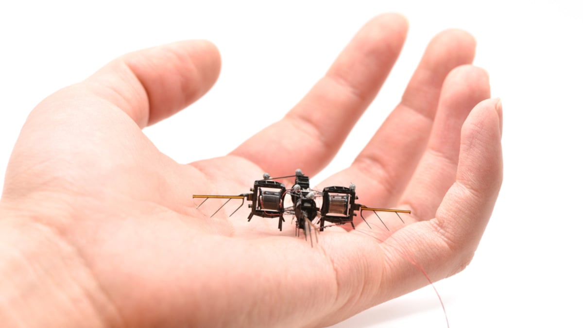 Prototipo de insecto robótico volador desarrollado por el MIT (Foto: MIT)