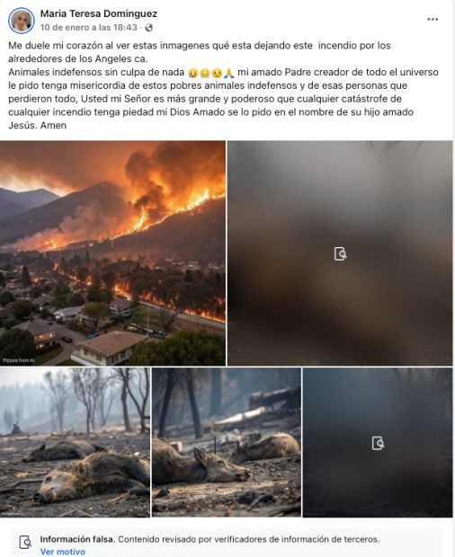 Publicación en Facebook con imágenes falsas