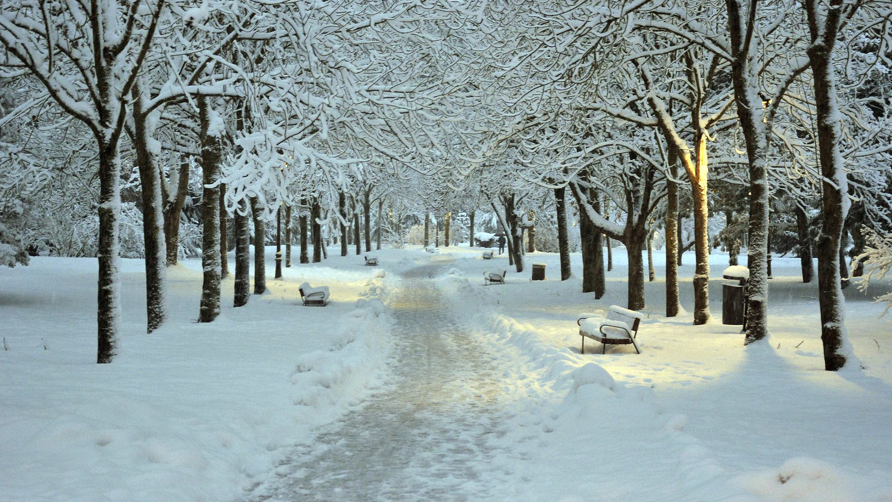 Un camino nevado en Vitoria-Gasteiz, Álava. Foto: Jon Nanclares Medrano en Flickr.