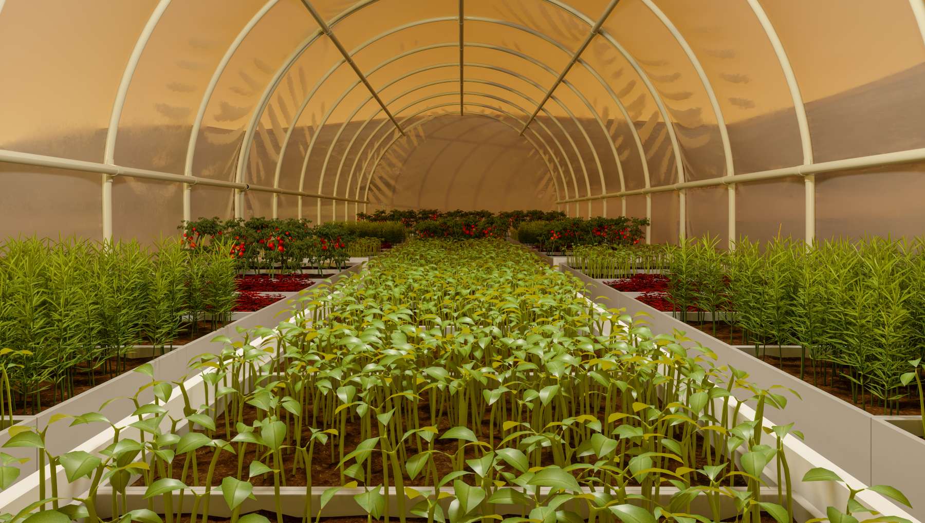 Cultivar alimentos en el espacio.