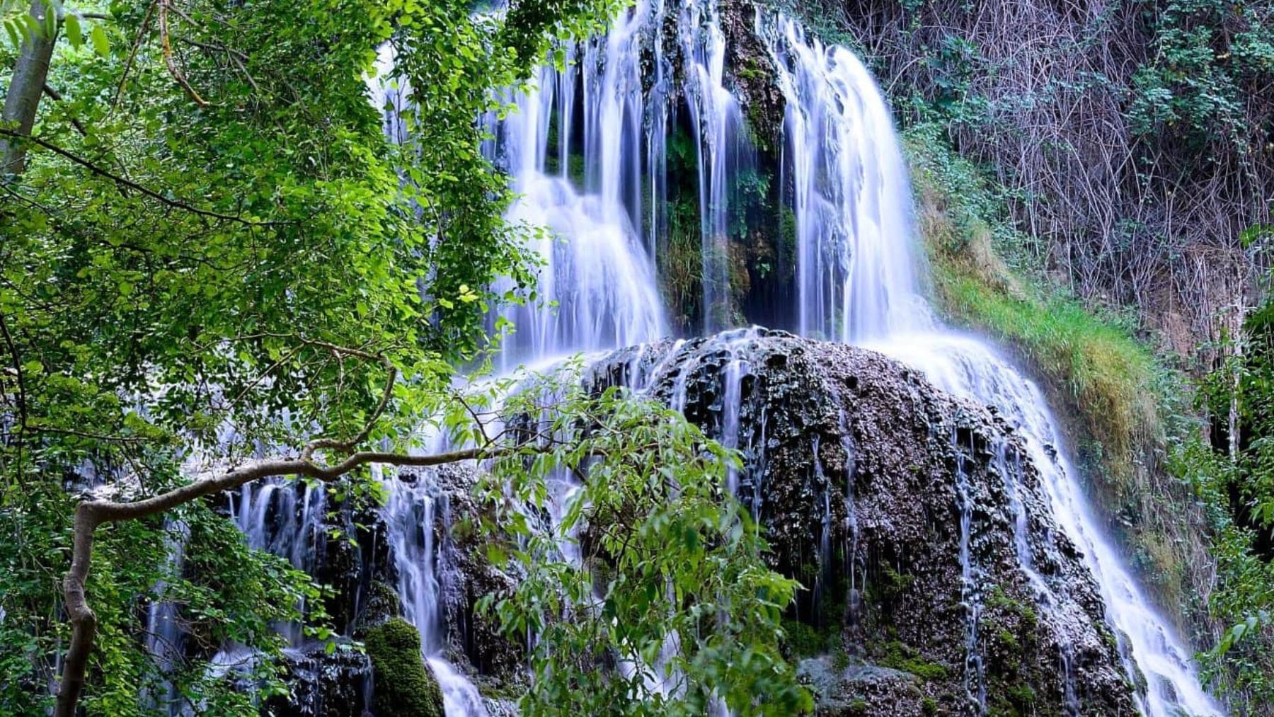 Parque Jardín Histórico del Monasterio de Piedra. Foto: Monasterio de Piedra