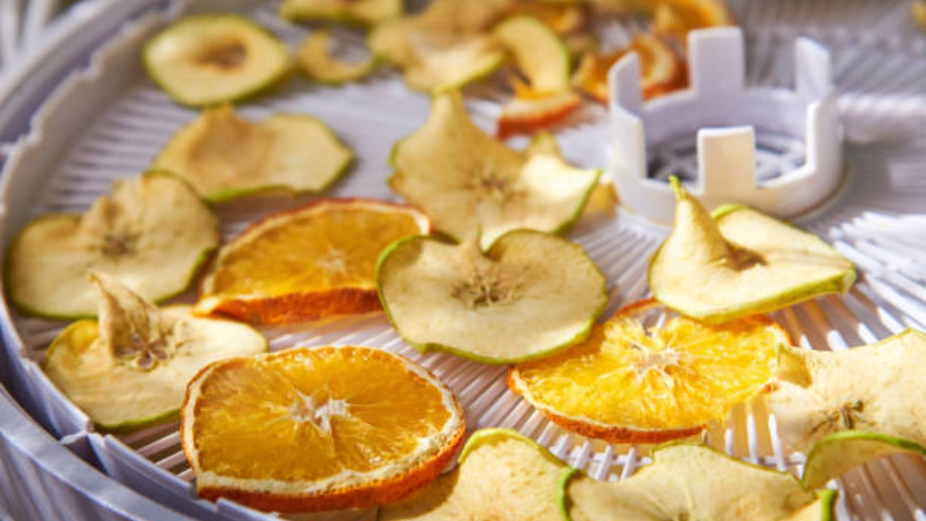 Chips de fruta sobre bandeja de un deshidratador.