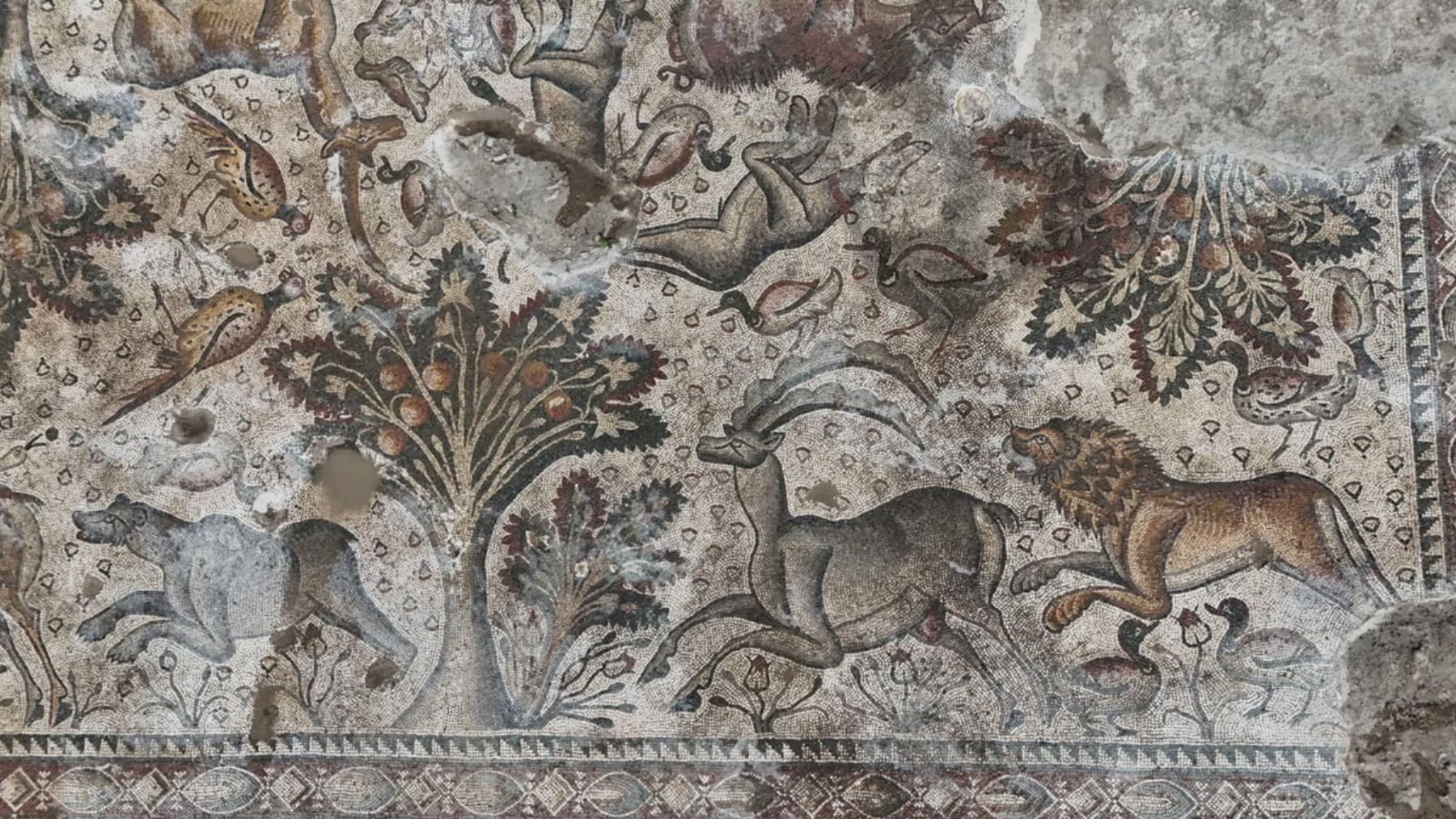 Mosaico romano. Foto: Museo Elazig