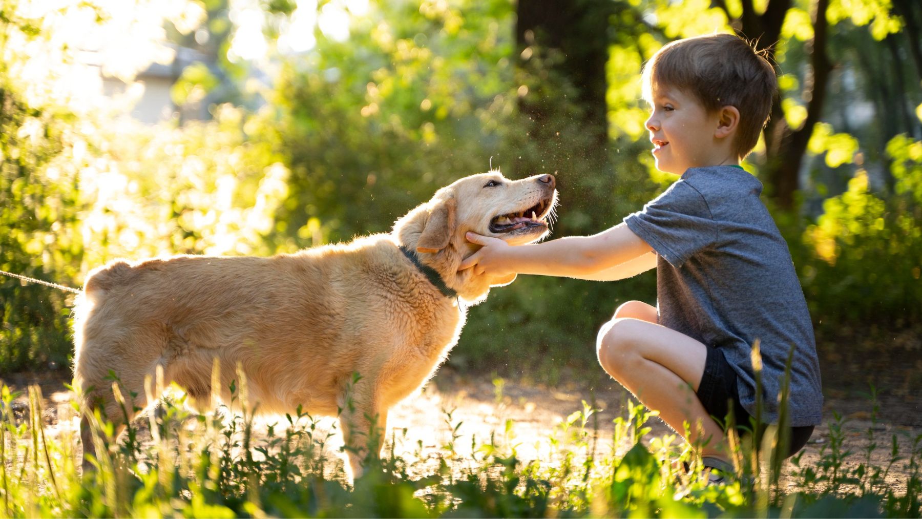 Un perro jugando con un niño. Foto: Freepik