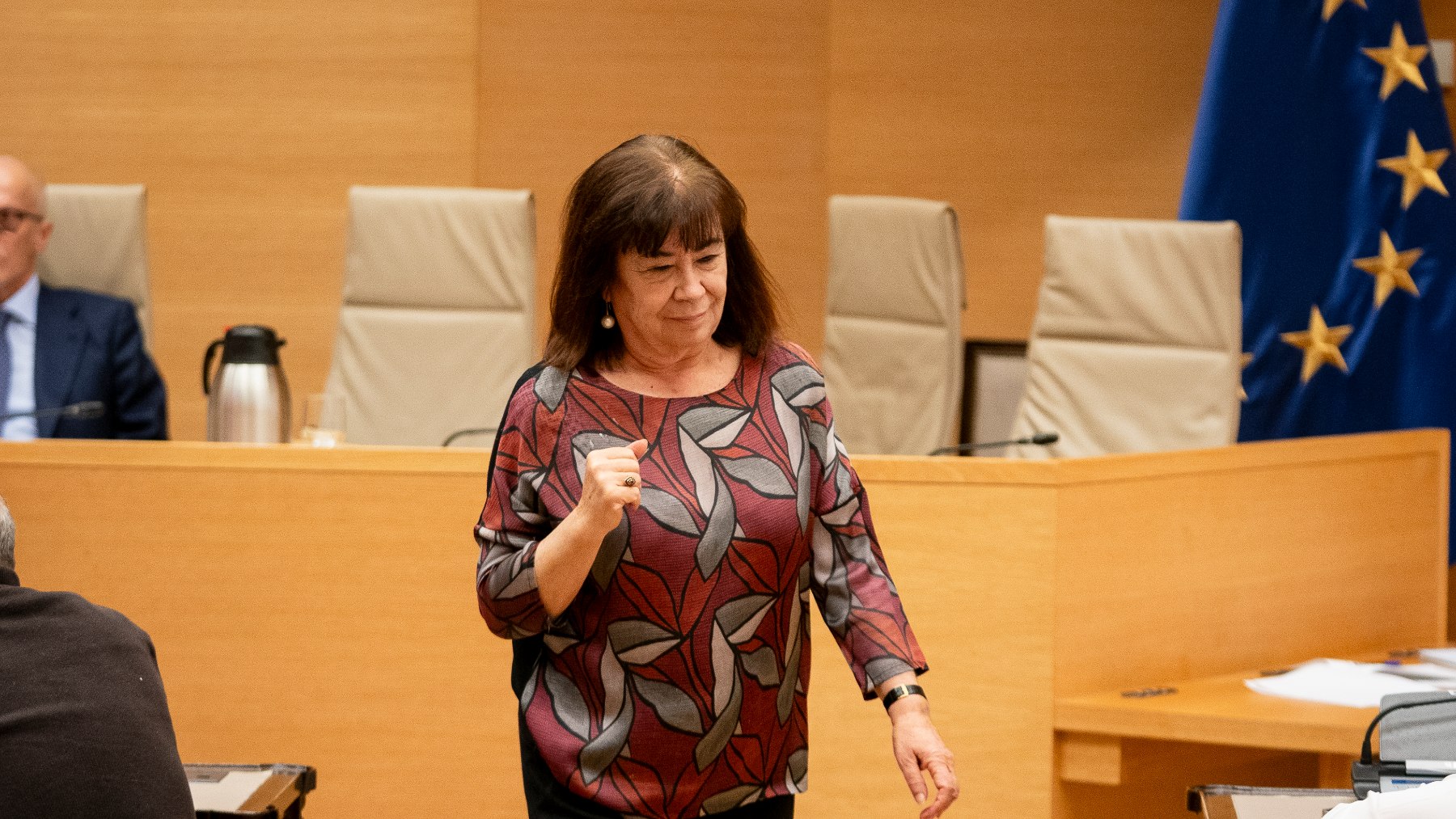 Cristina Narbona, presidenta de la comisión de Transición ecológica en el Congreso de los Diputados (Foto: Europa Press)