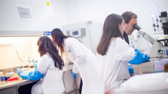 Fundación Mutua Madrileña financiará nuevos proyectos de investigación médica con 2,3 millones de euros