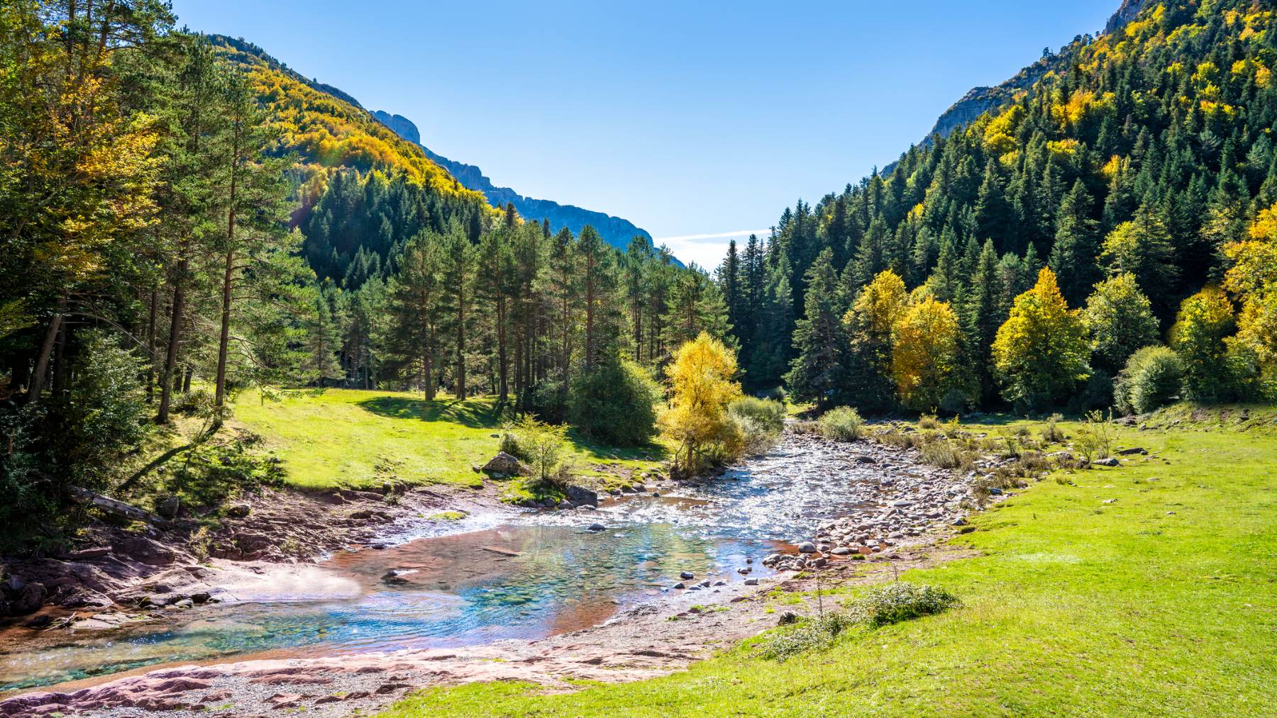 Otoño en la Selva de Oza en un valle del Prineo oscense