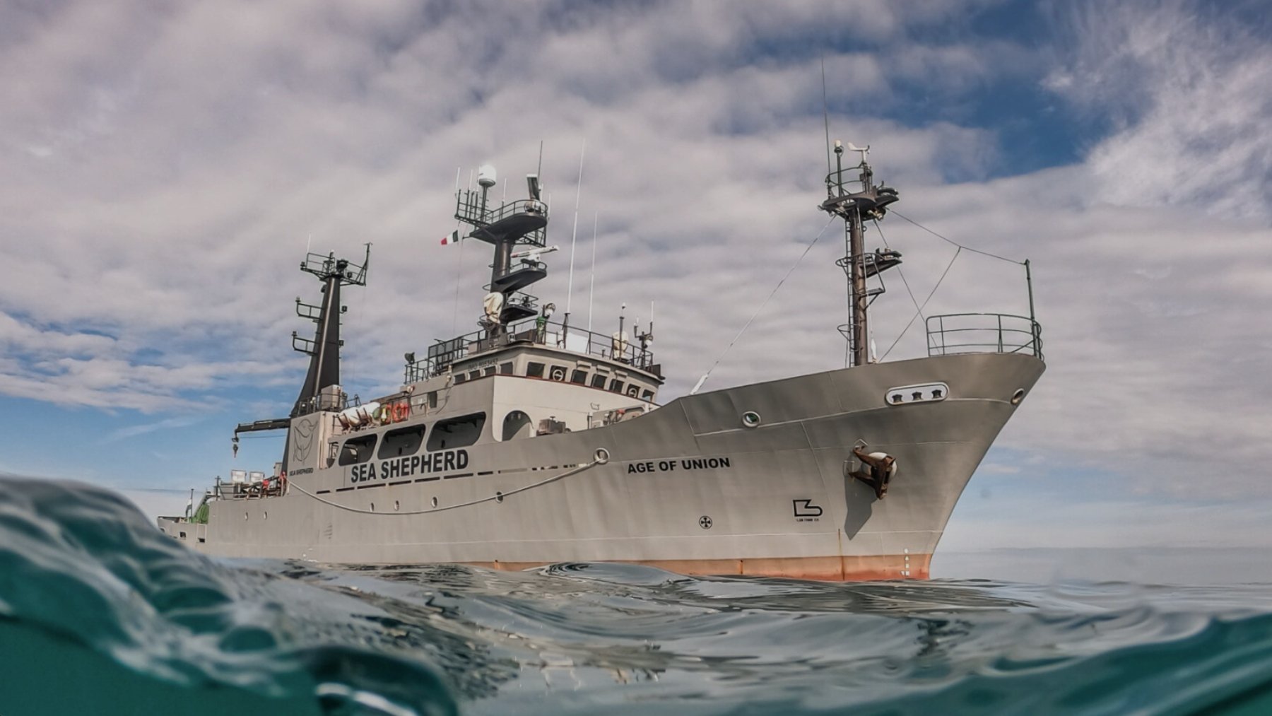 El Age of Union, elbarco de la organización ecologista Sea Shepherd (foto: Sea Shepherd)