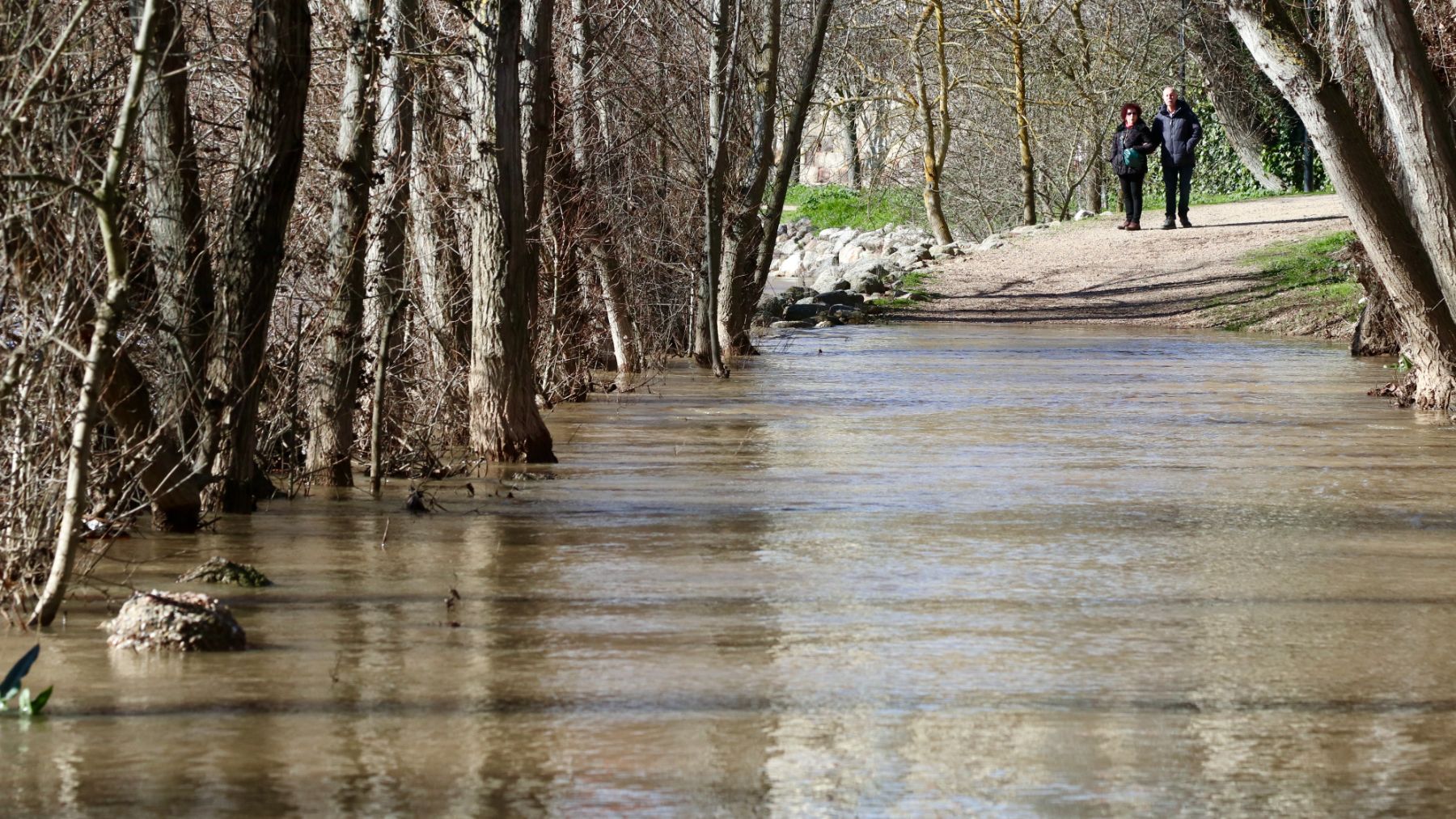 El río Duero a su paso por Zamora este sábado. (Foto: Efe)