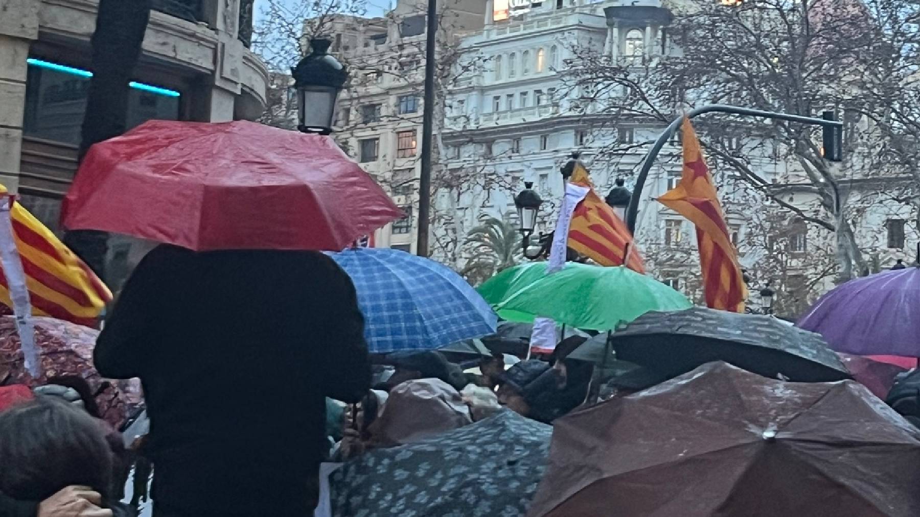 Banderas esteladas en la manifestación de Valencia, este sábado.