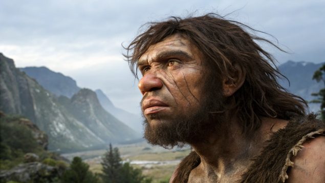 Neandertal, descubrimiento, historia